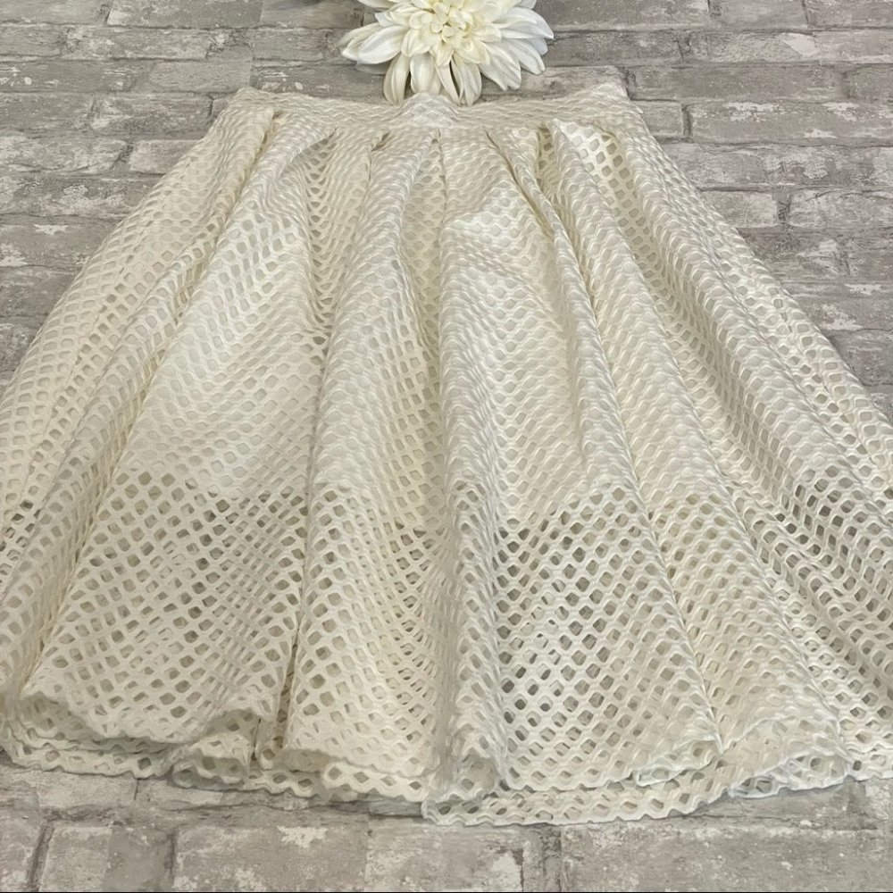 SOLD | Elegant Perforated Eyelet Poodle Skirt NWOT ⚡️HOST PICK⚡️ - Picture 5 of 14